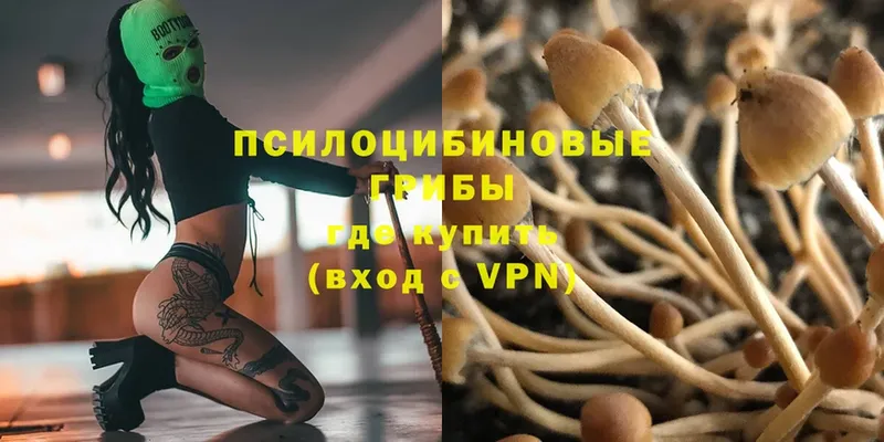 Псилоцибиновые грибы Magic Shrooms Ахтубинск